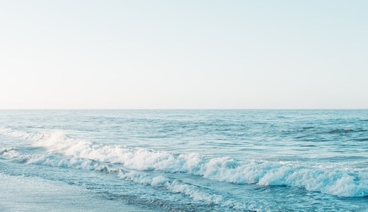 檀れいに子どもがいない本当の理由｜孫の顔を見せたかったという本音とは