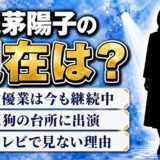 浅茅陽子の現在は女優を継続！露出が減った発端は1992年のCM全降板