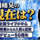 因幡晃の現在は全国ライブが中心！脳梗塞での入院から退院までの経緯とは？