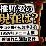 椎野愛の現在は活動記録なし!aRmaが2018年に本人を探す掲載を出していた